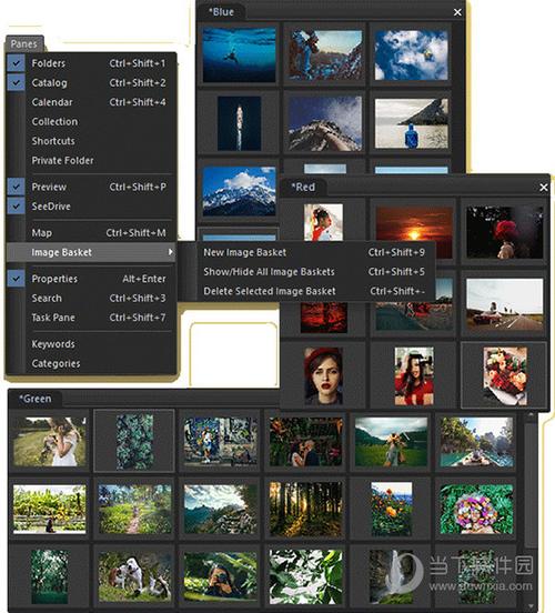 ACDsee 10官方版：卓越的相片管理软件
