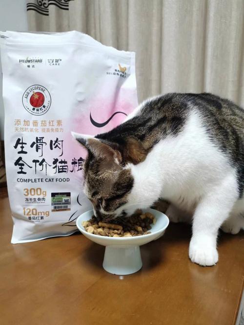 7款超值猫粮推荐：让猫咪吃得健康又满足！