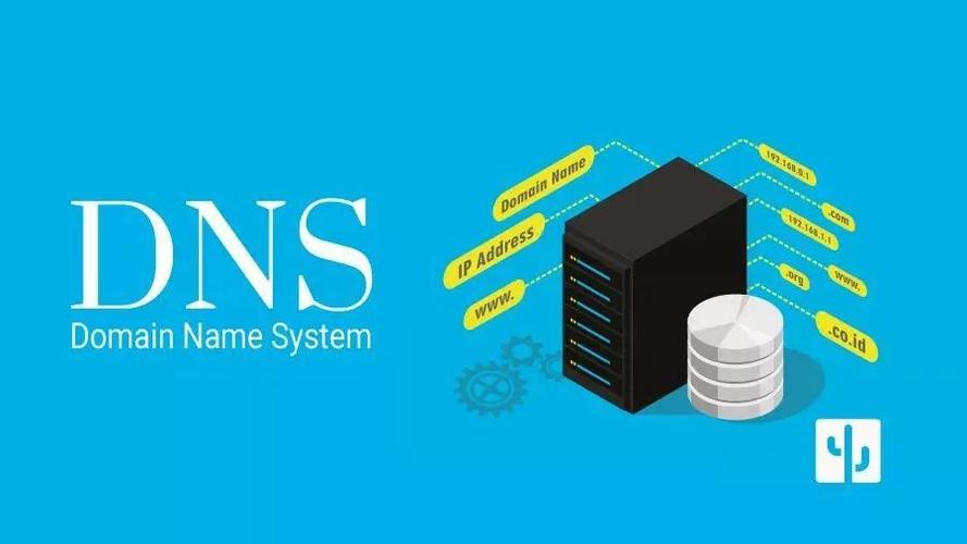 如何查看与更改DNS服务器地址：从Windows、Mac到Linux的指南